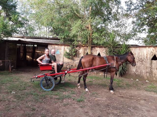  Alrededor en un concierto 