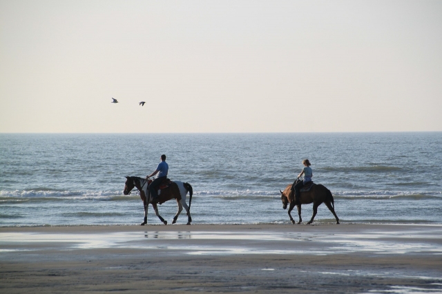  En la costa 