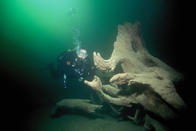  Buceando entre los secretos del océano 