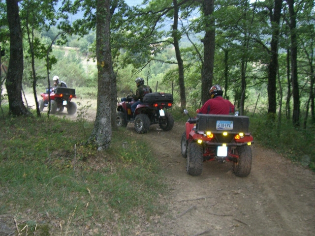  Cuatrimoto en el bosque 