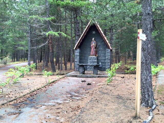  Historia entre los árboles 