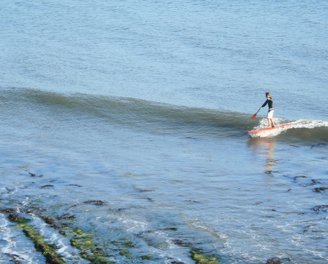  Cabalgando las olas 