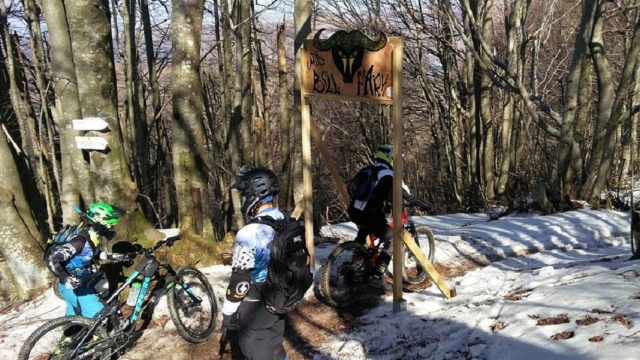  Nos aventuramos en nueva áreas 