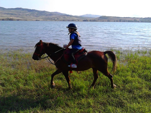  Junto al lago 