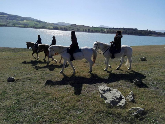  Un agradable paseo 