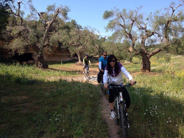  Experimenle la naturaleza 