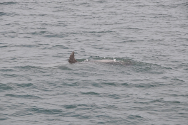  La belleza de la naturaleza 