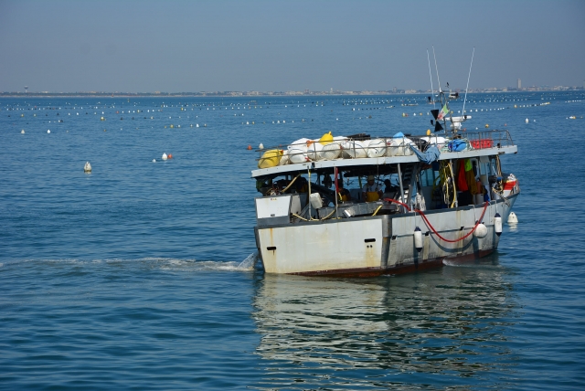  Viveros de mejillones 