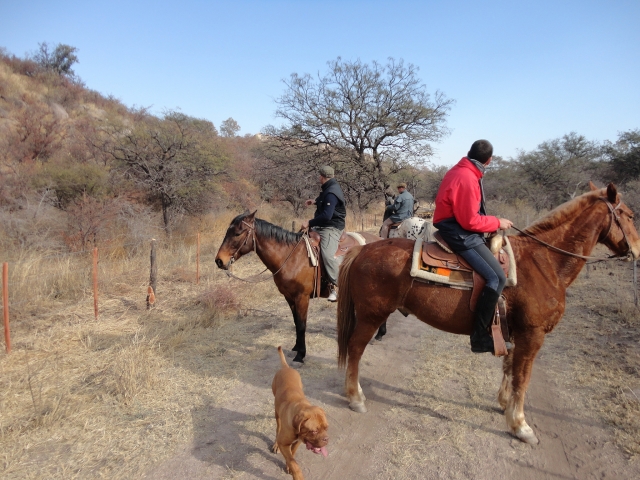  Entrenamiento equino 