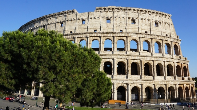  Vista del Coliseo y los pinos de Roma 