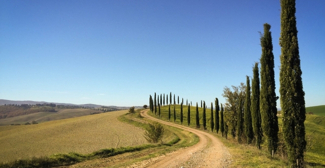  Via di cipressi 