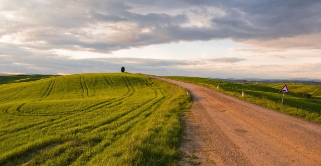  Caminos blancos por recorrer 