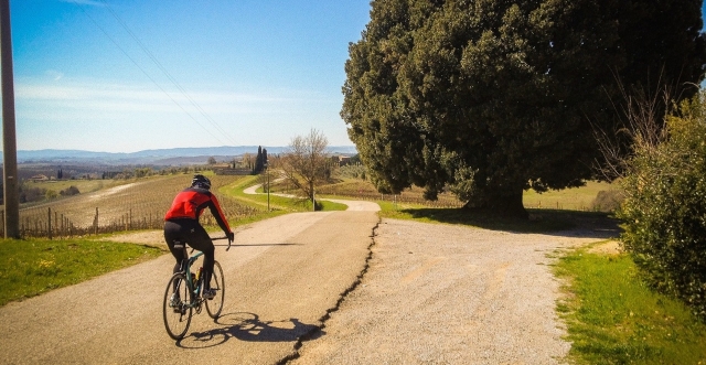 Carretera pavimentada 