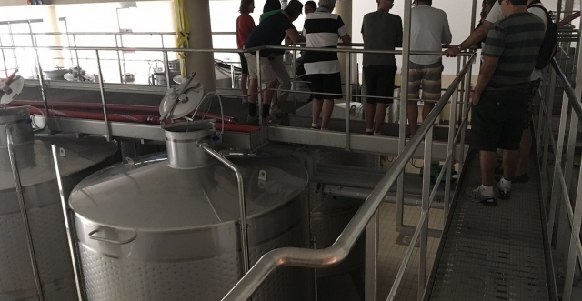  Proceso de elaboración del vino 