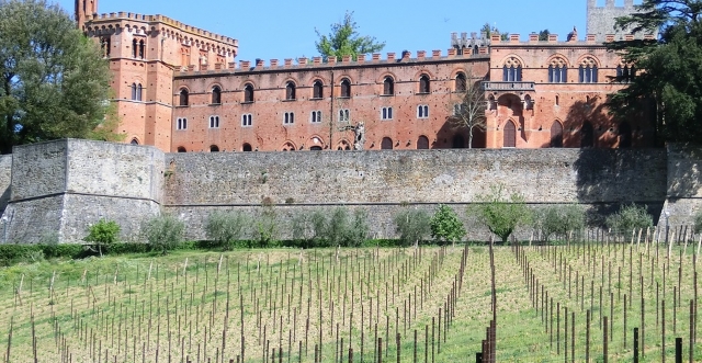 Viñedo 