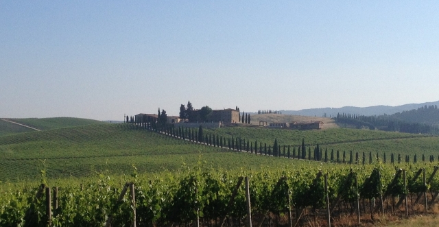  Monteriggioni al fondo 