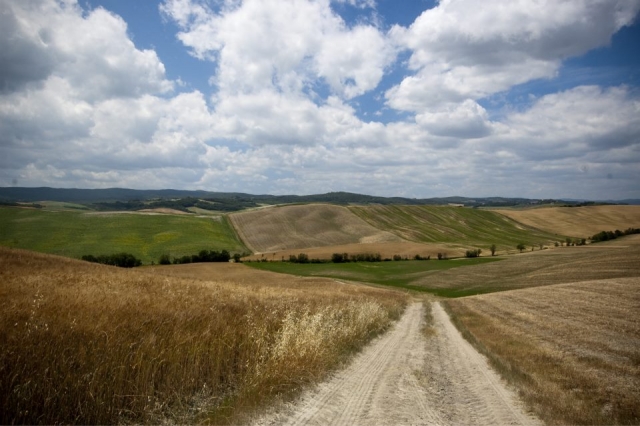 Caminos blancos 