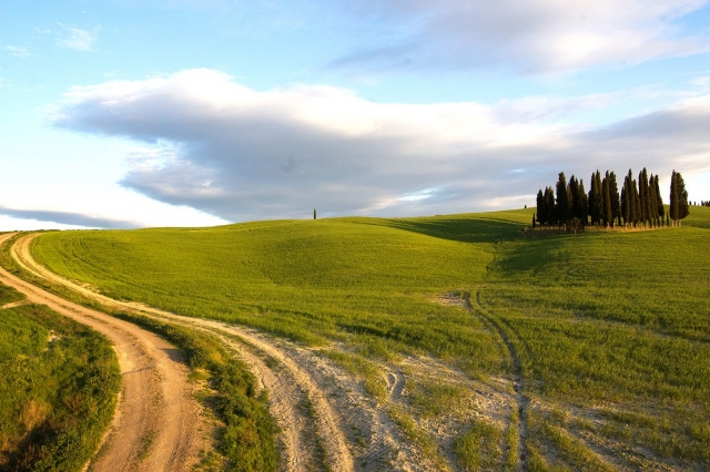  Vista de la Val d'Orcia 