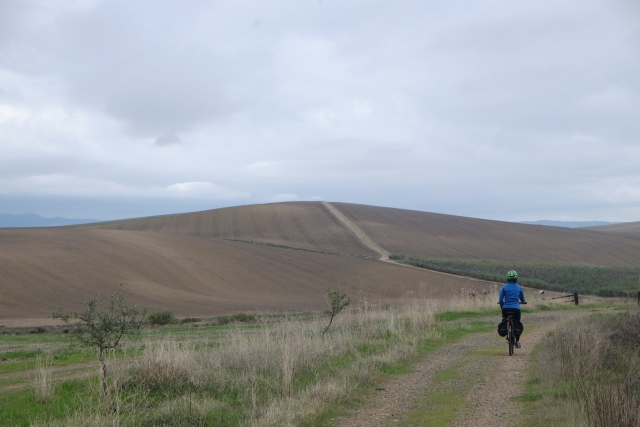 La campiña de Salento 