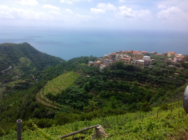  Vista en las terrazas de Volastra 