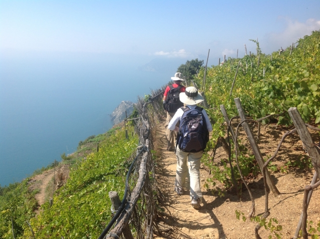  Trekking en los viñedos