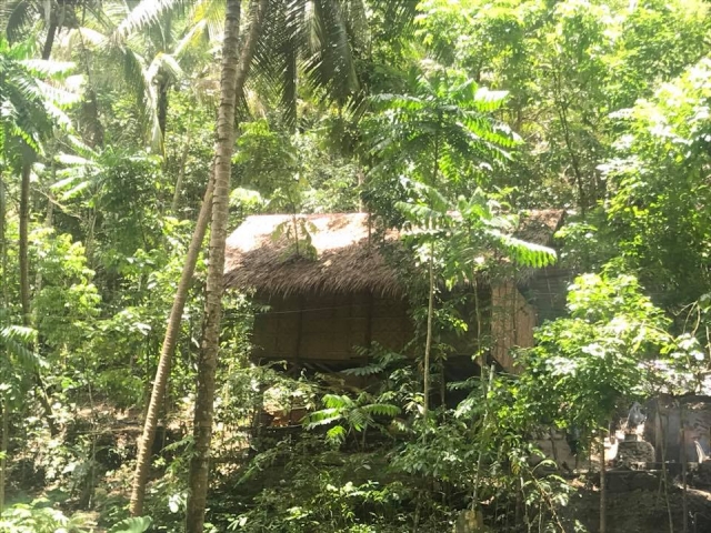  Inmersos en la naturaleza 