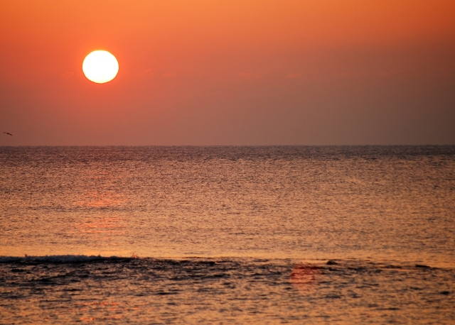  El día perfecto para una salida de pesca 