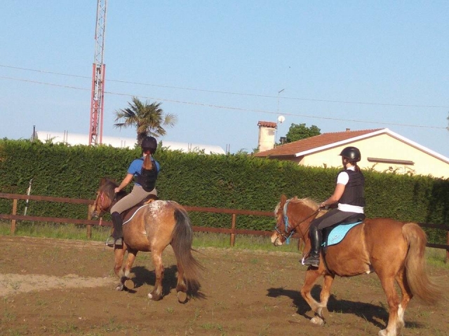 Clases de equitación 
