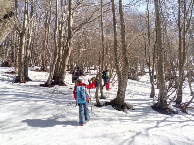  Raquetas de nieve en el bosque 