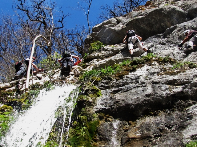  La belleza de la verticalidad 