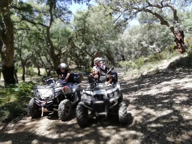 Cuatrimoto en plena naturaleza