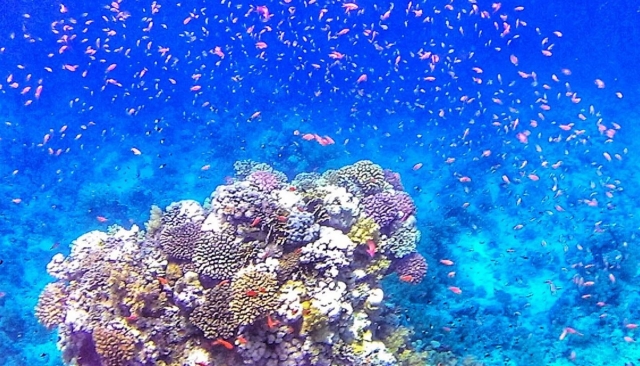  La magia de los colores 