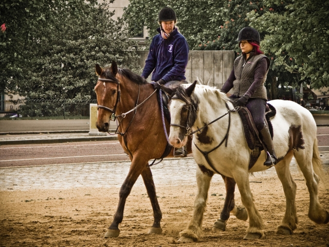  Todo a caballo 