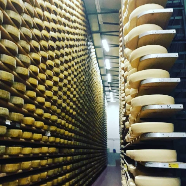  Un recorrido por el mundo del queso 