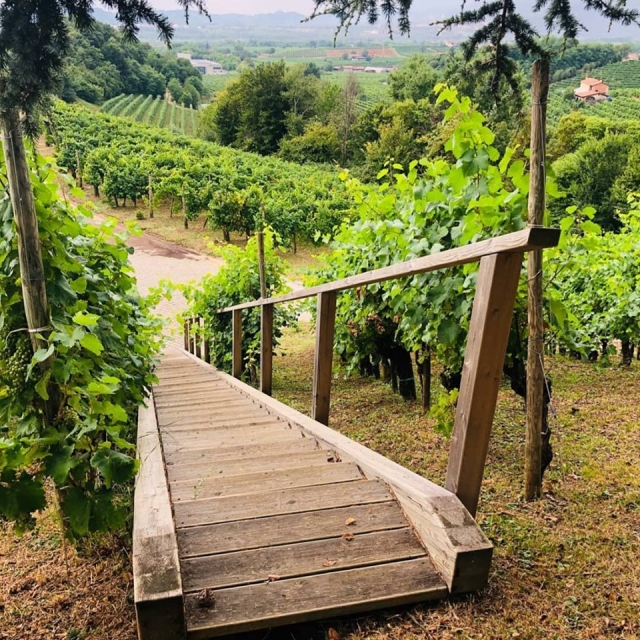  El valle de Prosecco 