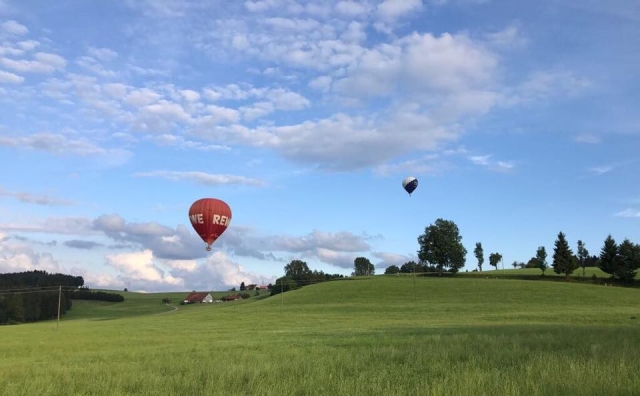  volando 
