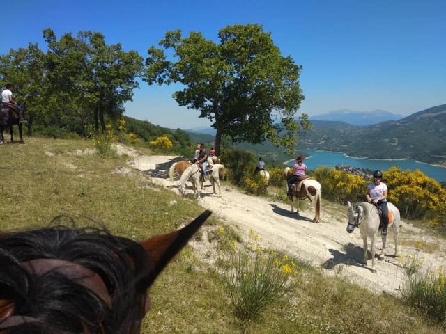  venga y diviértele con nosotros