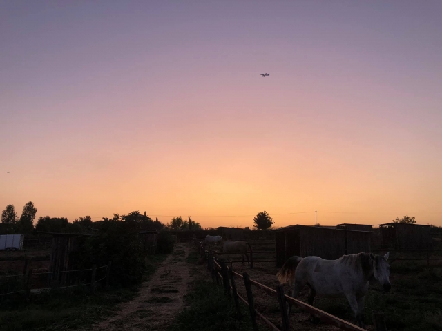  club ecuestre al atardecer 