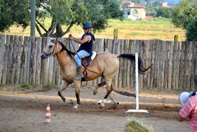  venga y vive la adrenalina