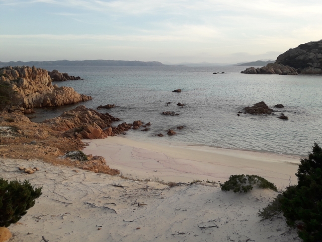  playa rosa de Budelli 