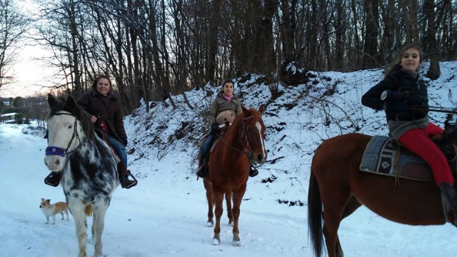  excursión en la nieve 