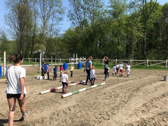  campamentos de verano 