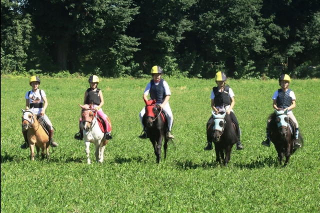  campamento de verano 