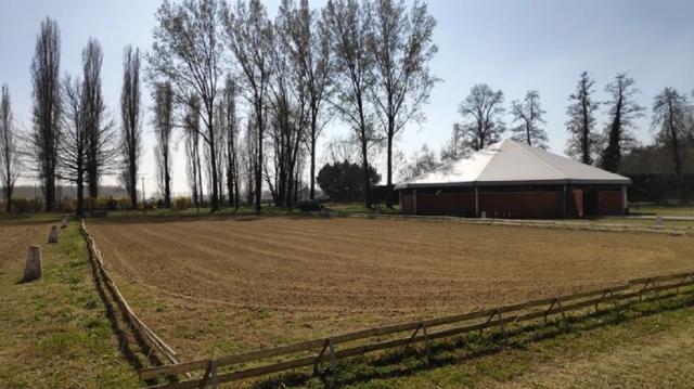 El campo exterior 