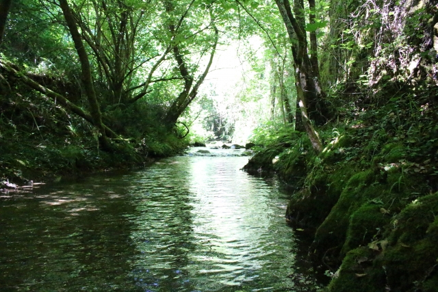  un panorama de la naturaleza 