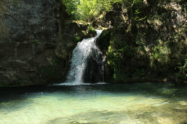  arroyo Jannello 