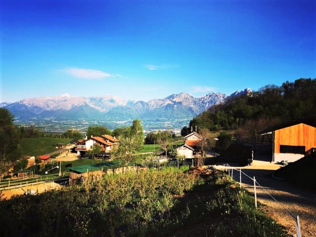  Vista de los Dolomitas 