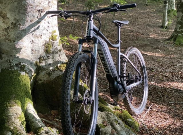  Bicicleta eléctrica en el bosque 