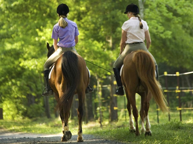  paseo a caballo 