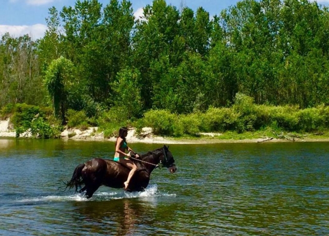  baño a caballo 
